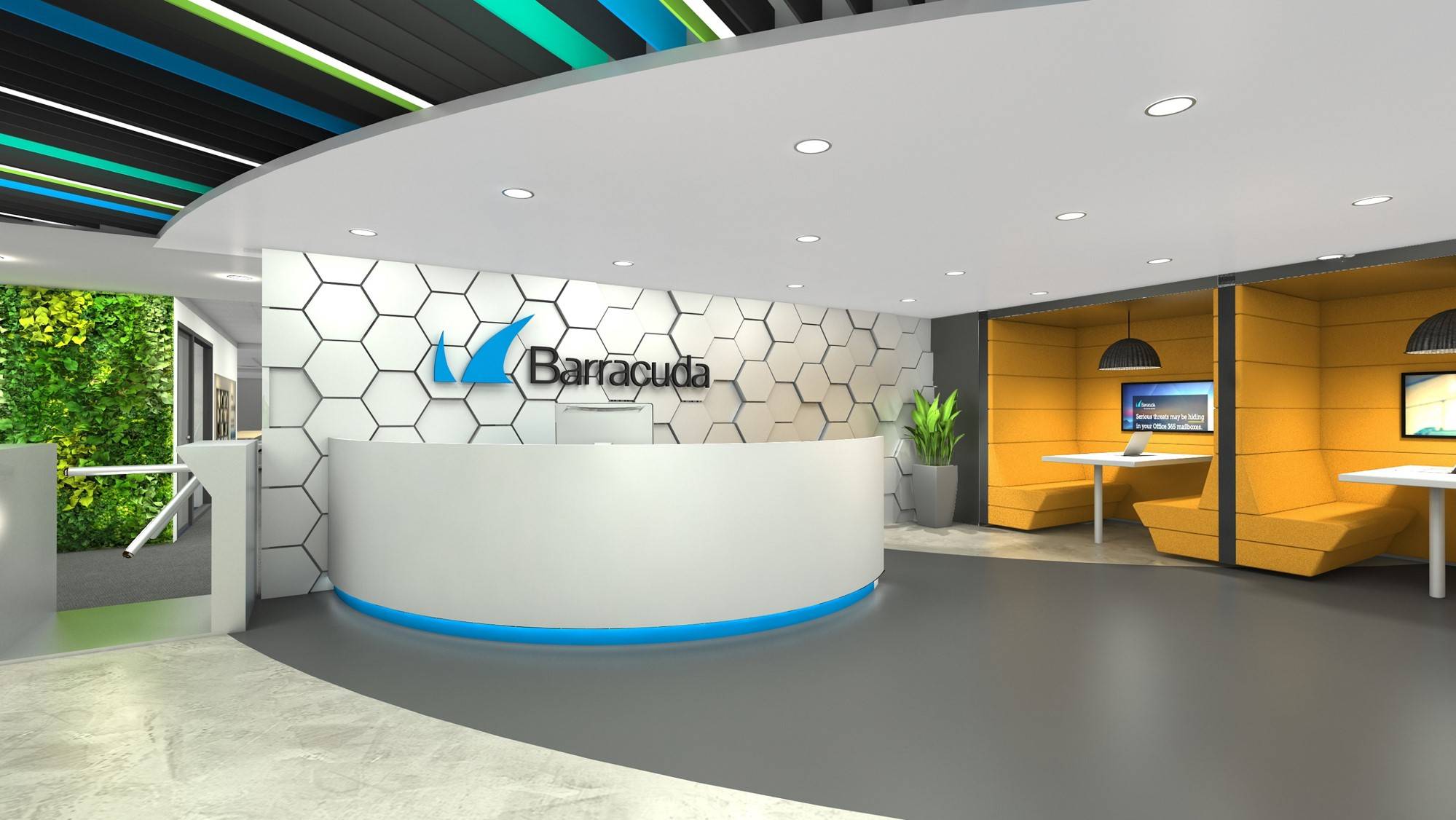 barracuda